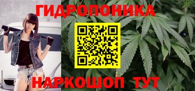 СК Обнинск