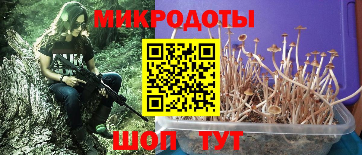 Псилоцибиновые грибы Cubensis  Псилоцибиновые грибы прущие грибы  Химки  Вход с VPN 